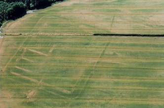 Cropmark Fort